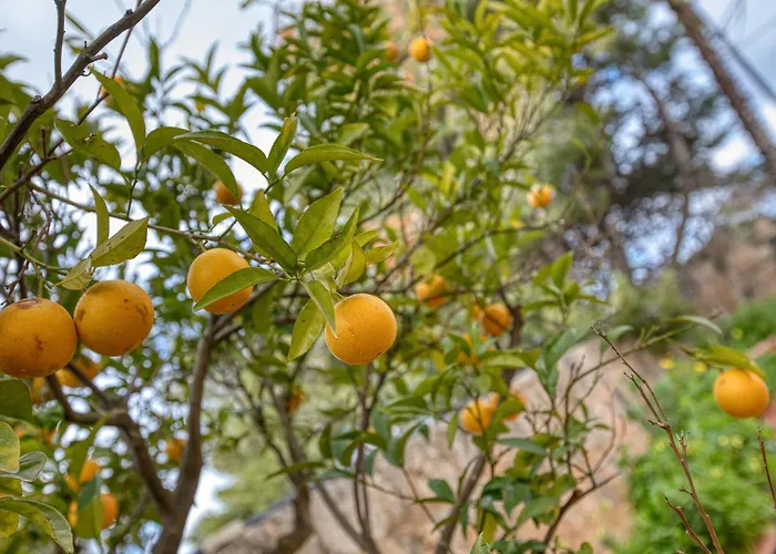 Stunning 2br With Pool Βίλα L-Imgarr